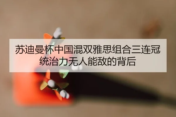su-di-man-bei-zhong-guo-hun-shuang-ya-si-zu-he-san-lian-guan-tong-zhi-li-wu-ren-neng-di-de-bei-hou-2-988.jpg