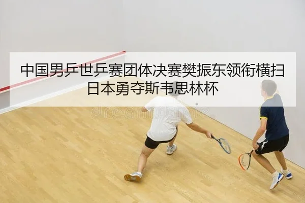zhong-guo-nan-ping-shi-ping-sai-tuan-ti-jue-sai-fan-zhen-dong-ling-xian-heng-sao-ri-ben-yong-duo-si-wei-si-lin-bei-2-733.jpg